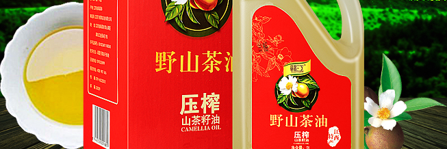 贛江食品包裝設(shè)計欣賞(圖4)