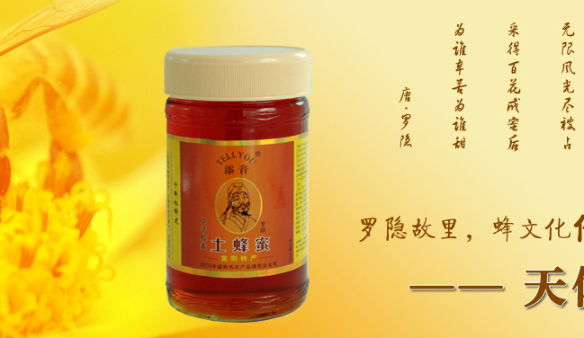 天依蜂 天依蜂食品包裝設(shè)計(jì)欣賞(圖4)