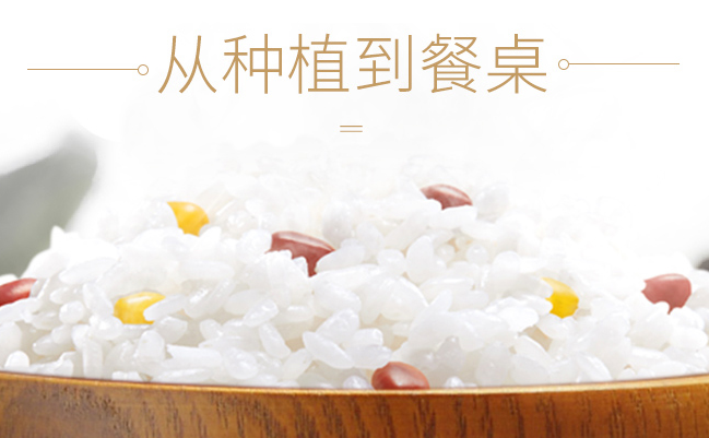 XINGTANG興唐食品包裝設(shè)計(jì)欣賞(圖2)