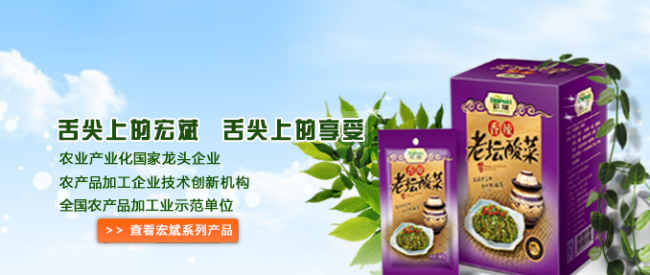 Hopen宏斌食品包裝設(shè)計(jì)欣賞(圖4)