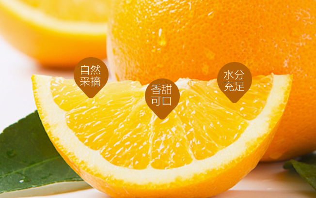 花果鮮食品包裝設計欣賞(圖2)