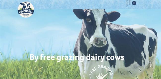 德運(yùn)牛奶 德運(yùn)Devondale食品包裝設(shè)計(jì)欣賞(圖3)