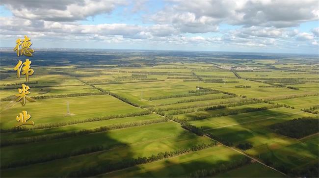 徳偉食品包裝設(shè)計(jì)欣賞(圖2)