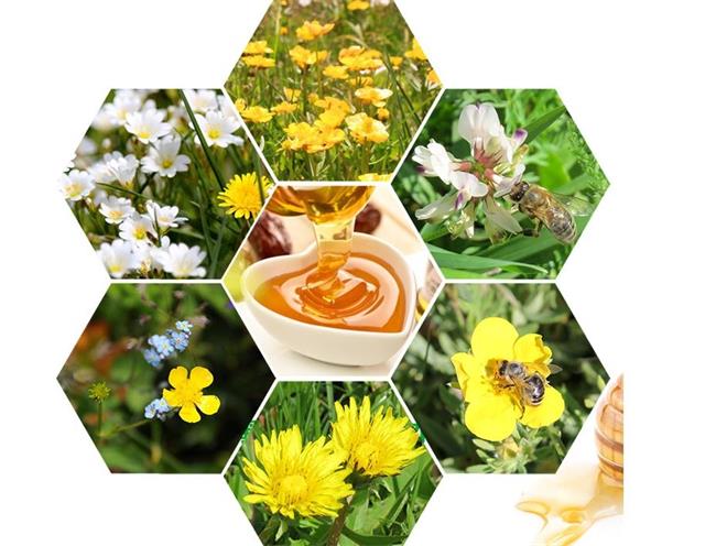 百信 BAIXIN百信食品包裝設(shè)計(jì)欣賞(圖3)