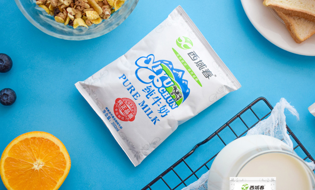 西域春食品包裝設(shè)計(jì)欣賞(圖2)