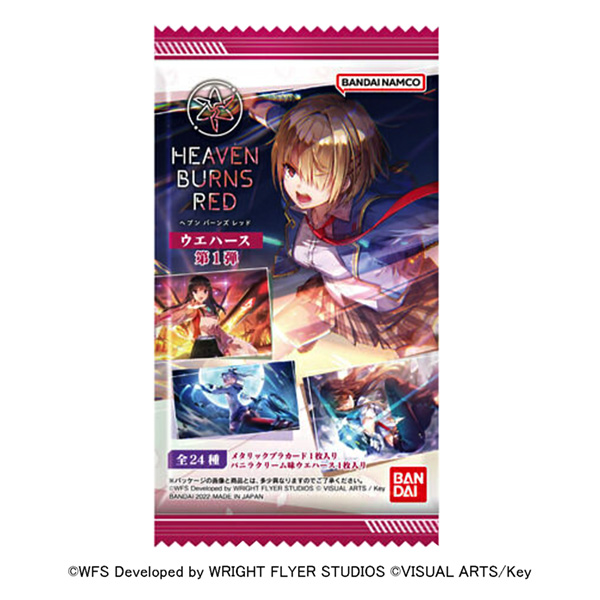 海文·伯恩斯·雷德韋豪斯第彈萬代包裝設(shè)計(jì)(圖1)