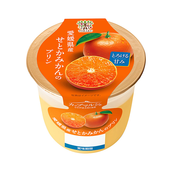 馬爾舍杯愛媛縣產(chǎn)的橘子布丁食品飲料包裝設(shè)計(jì)(圖1)